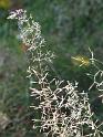 2011-10-02, Pilze (29)